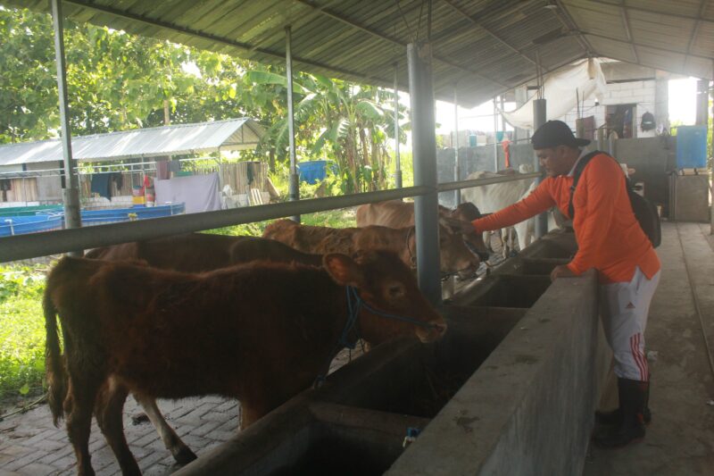 Kelompok Santri Tani Milenial, Upaya Regenerasi Petani di Jombang (Bagian III/Habis)