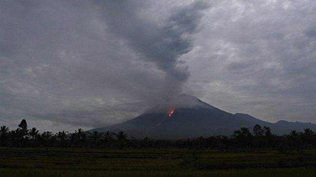 Waspada! Gunung Semeru Luncurkan Awan Panas 3,5 Kilometer