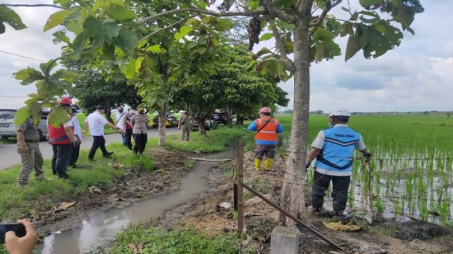 2 Pekan, 4 Petani di Ngawi Meninggal karena Jebakan Tikus Listrik