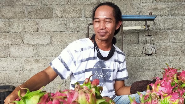 Pria Mirip Jokowi Ternyata Pedagang Buah dari Banyuwangi