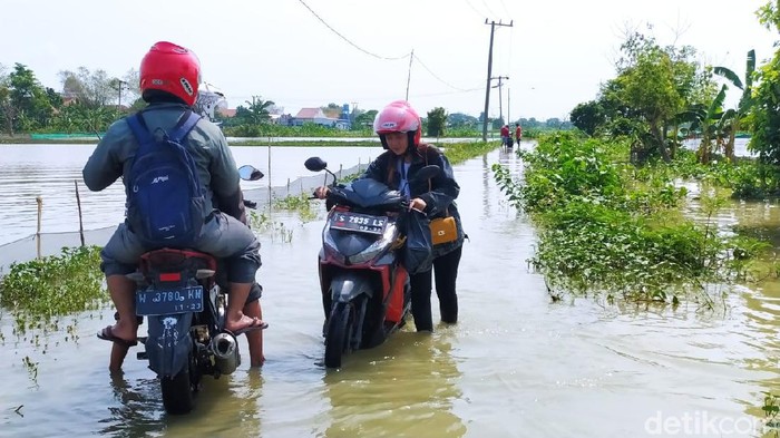 Anak Bengawan Solo Meluap, Banjir di Lamongan Rendam 3.355 Rumah
