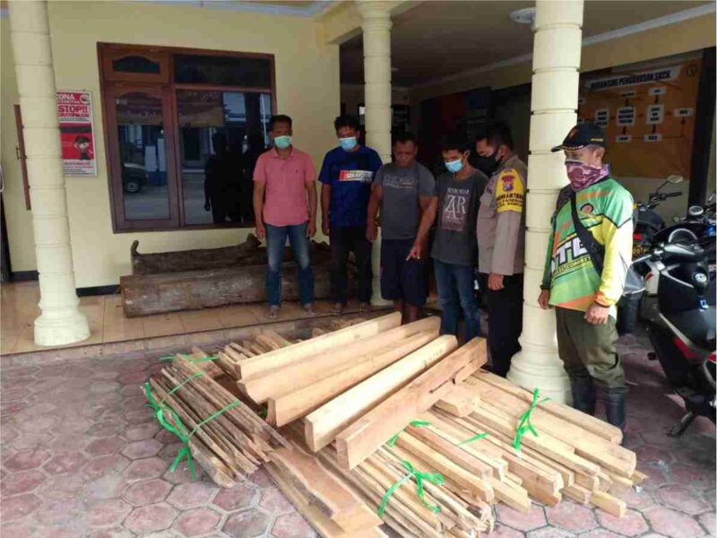 Curi Kayu Jati di Hutan Ponorogo, Polisi Tangkap 2 Pria Ini