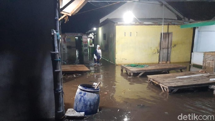 Banjir Rob Rendam Puluhan Rumah di Pesisir Situbondo