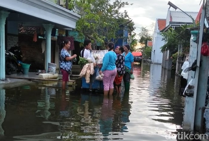 Warga Desa di Lamongan Dikepung Banjir Hampir Satu Bulan