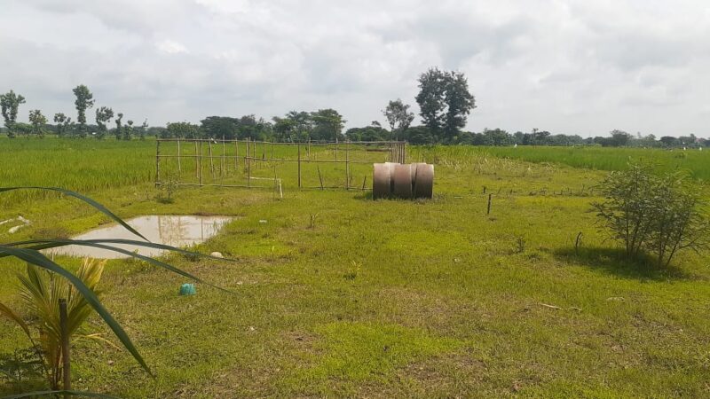 Masyarakat Madiun Digegerkan dengan Rencana Pendirian Pasar Muamalah