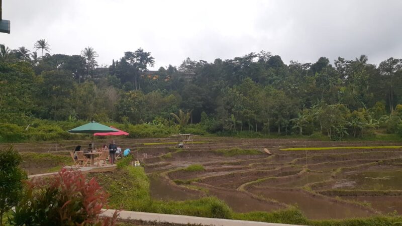 Rumah Coklat Bodag, Tawarkan Sensasi Menikmati Cokelat Hangat di Lereng Gunung Wilis