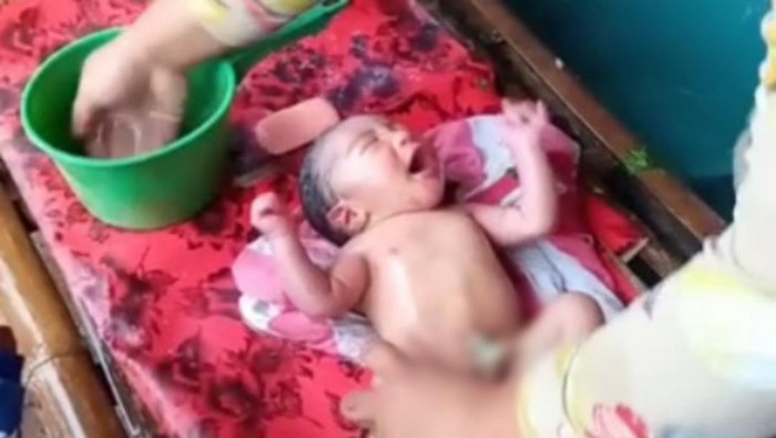 Dibungkus Daun Pare, Bayi Dibuang di Ladang Tebu