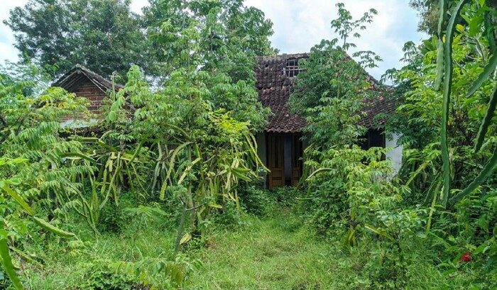 Kampung Mati Ponorogo, Tak Berpenghuni Namun Ramai saat Idulfitri