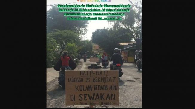 Protes Pemkab Sidoarjo, Jalan Berlubang “Disewakan Buat Ternak Cupang”