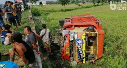 Sopir Disengat Lebah, Truk Nyungsep ke Sawah