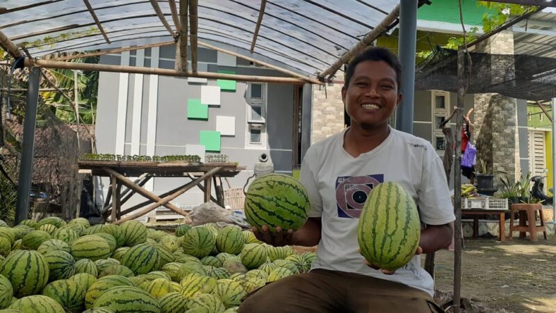 Berkah Ramadan, Hasil Panen Petani Semangka dan Blewah di Madiun Laris Terjual