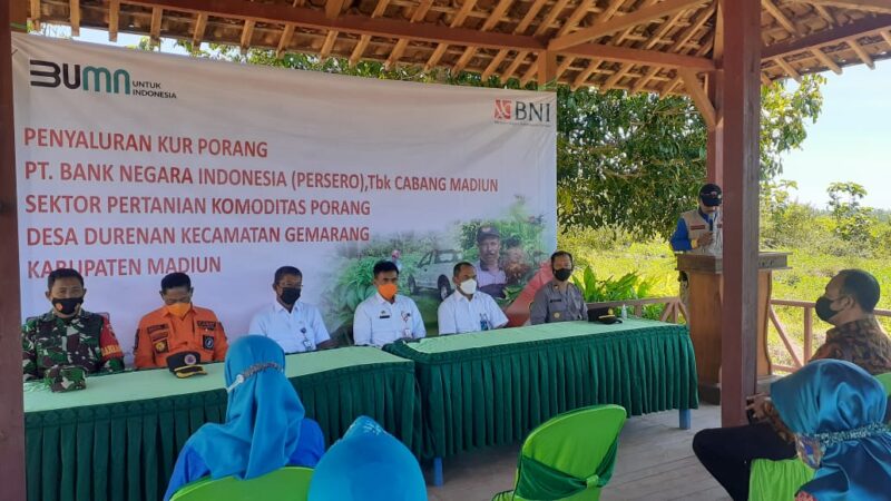 Tak Terdampak Pandemi, BNI Madiun Sediakan KUR Rp50 Miliar untuk Petani Porang