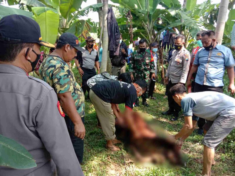 Hilang Sehari, Kakek-Kakek di Ponorogo Ditemukan Meninggal di Sungai