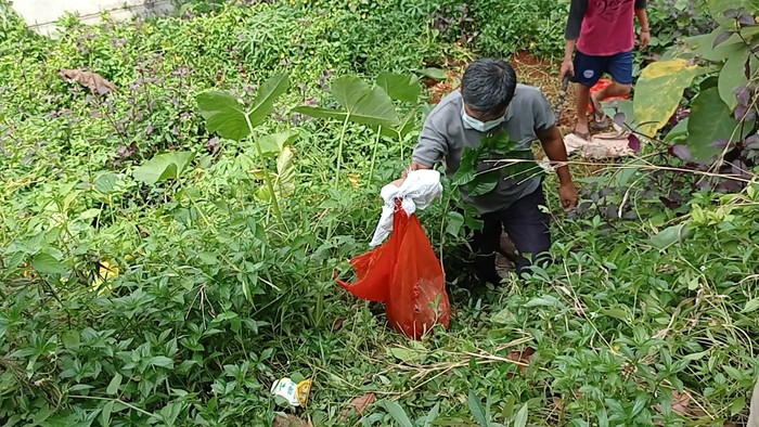 Heboh Babi Ngepet di Depok, Polisi Bongkar Kuburan