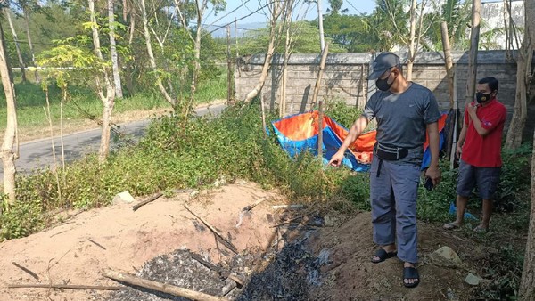 Misterius! Anjing Piaraan di Pacitan Mati Diduga Dibunuh