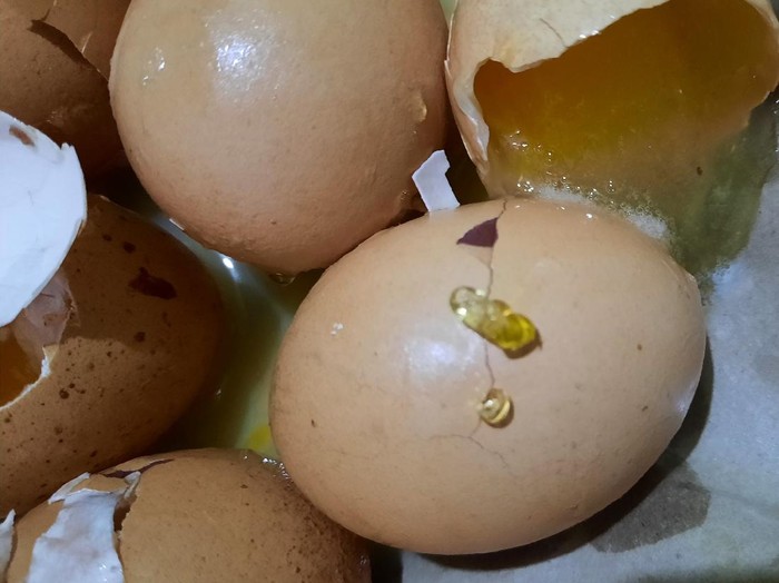 Hasil Uji Lab! Telur Ayam di Kediri yang Diduga Palsu Ternyata Asli