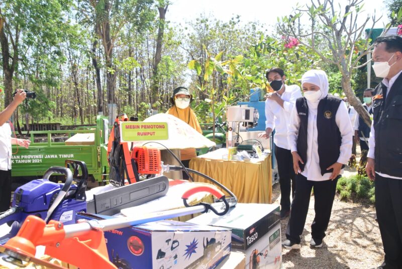 Khofifah Beri Bantuan Alat Ekonomi Produktif kepada Petani Hutan di Madiun