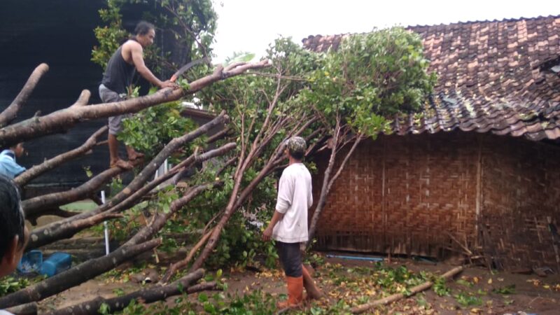 Angin Kencang Terjang Madiun, 4 Rumah Roboh dan 20 Rumah Rusak Sedang