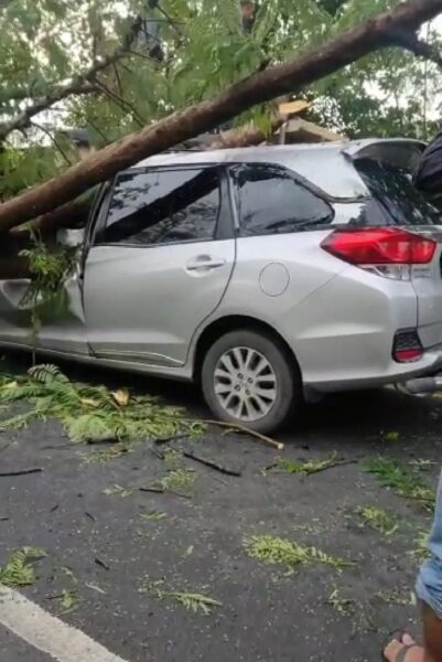 Mobil Tertimpa Pohon di Madiun, 2 Warga Sragen Luka-Luka