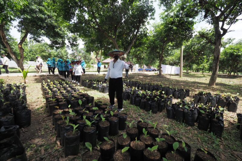 Bernilai Ekonomi Tinggi, Warga Madiun Diajak Tanam Kunyit Hitam