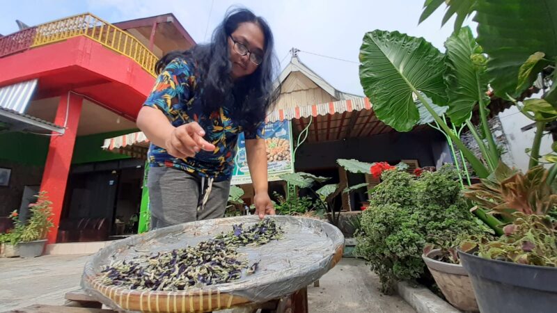 Sukses dengan Jamu dalam Kemasan, D’Jamoe Madiun Kembangkan Produk Jamu Bubuk