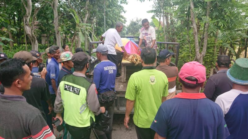 Petani di Ponorogo Meninggal Tersambar Petir saat Membajak Sawah