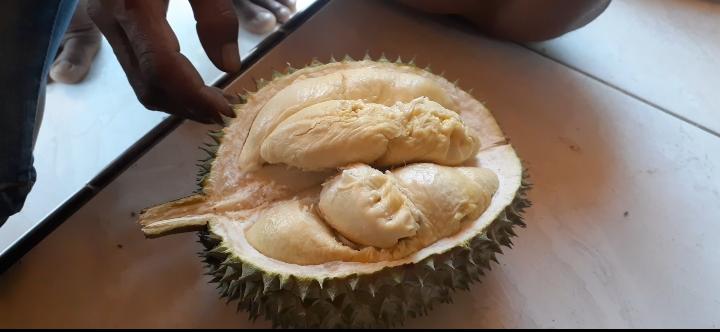 Manis, Legit, dan Pahit, Nikmatnya Durian Segulung Madiun