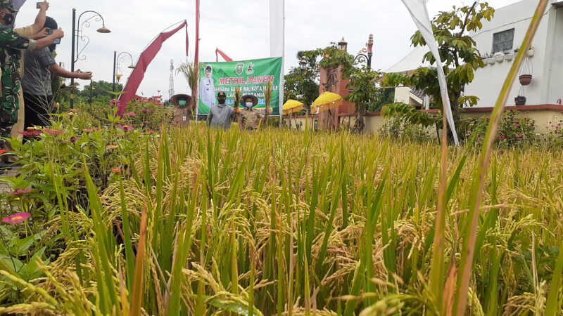 Bantu Petani, Pemkot Madiun Anggarkan Rp1 Miliar untuk Pupuk