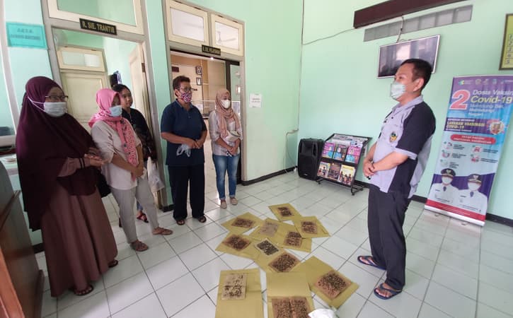 Protes Peternakan Ayam, Emak-Emak di Madiun Bawa Ribuan Lalat ke Pejabat