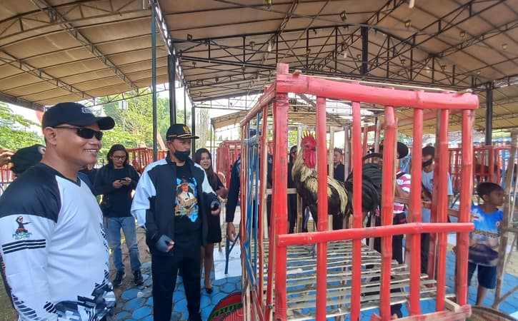 Rebutkan Piala Wali Kota, Ratusan Ayam Pelung dari Berbagai Daerah Ikuti Kontes di Madiun