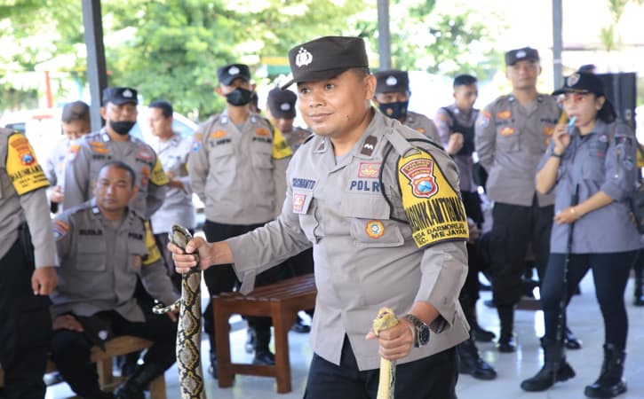 Marak Ular Masuk Rumah Warga, 179 Anggota Bhabinkamtibmas Madiun Dilatih Tangani Ular