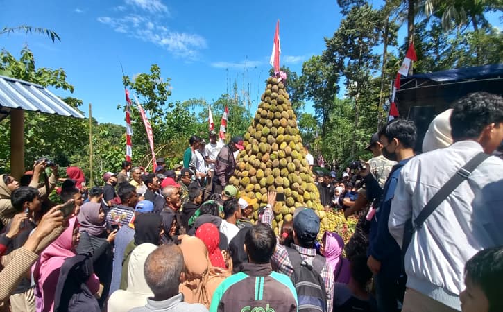 Meriah! Ratusan Orang Berebut Gunungan Durian di Desa Suluk Madiun