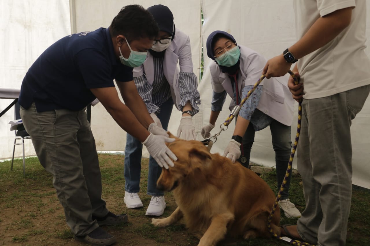 Antisipasi Penyebaran Rabies, Ratusan Ekor Hewan Peliharaan di Kota Madiun Divaksin