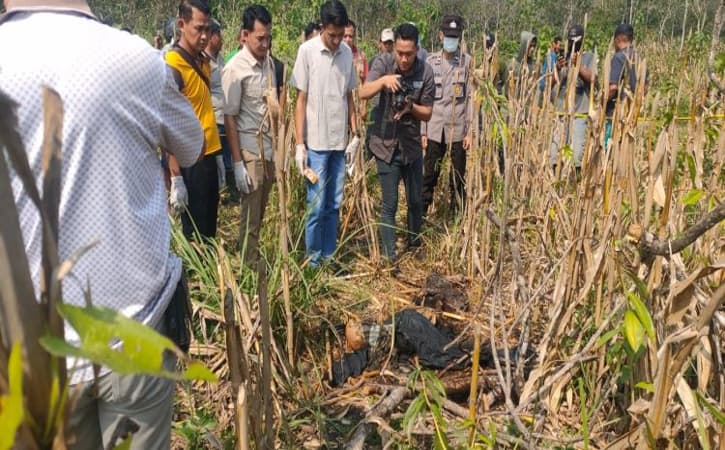 Warga Ngawi Digegerkan Penemuan Mayat di Kebun Jagung, Polisi: Diduga Korban Pembunuhan!