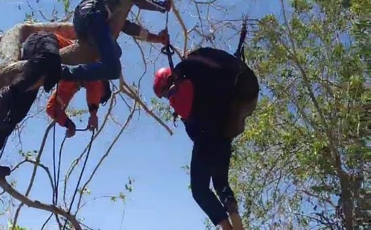 Seorang Atlet Paralayang Porprov Jatim Gagal Terbang & Tersangkut di Pohon
