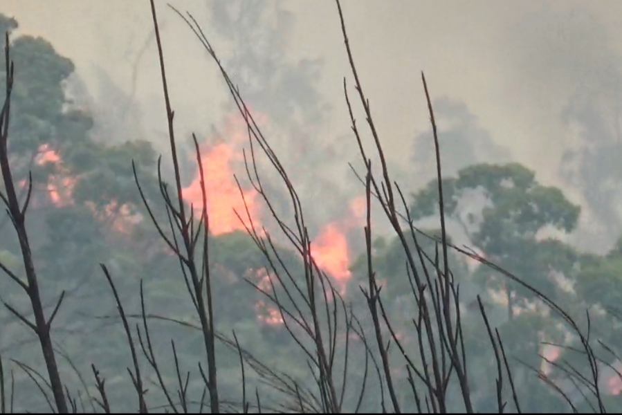 Kebakaran di Gunung Lawu Meluas, 350 Personel Diturunkan