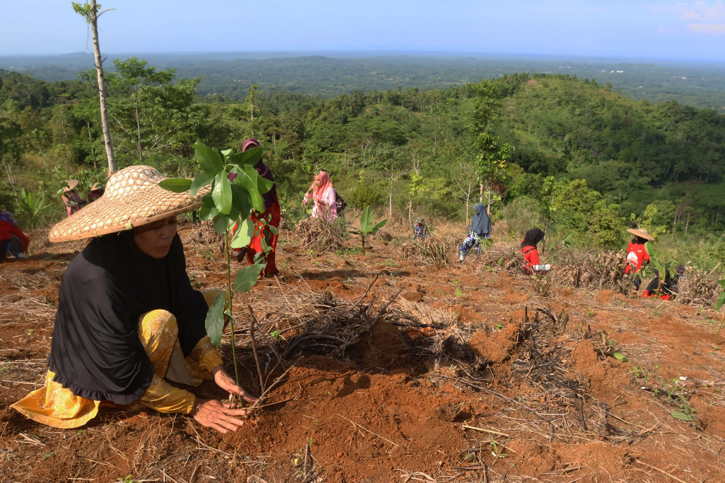 Telkom Dukung Pemulihan 82,1 Hektare Lahan Kritis melalui Reboisasi 33.800 Bibit Pohon